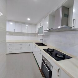 Shelford Regency (D11), Condominium #535836521